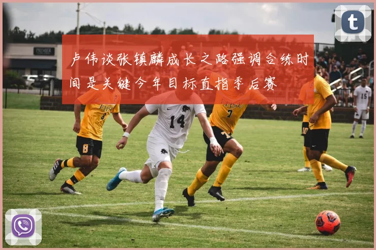 卢伟谈张镇麟成长之路强调合练时间是关键今年目标直指季后赛