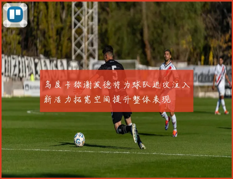 乌度卡称谢泼德将为球队进攻注入新活力拓宽空间提升整体表现