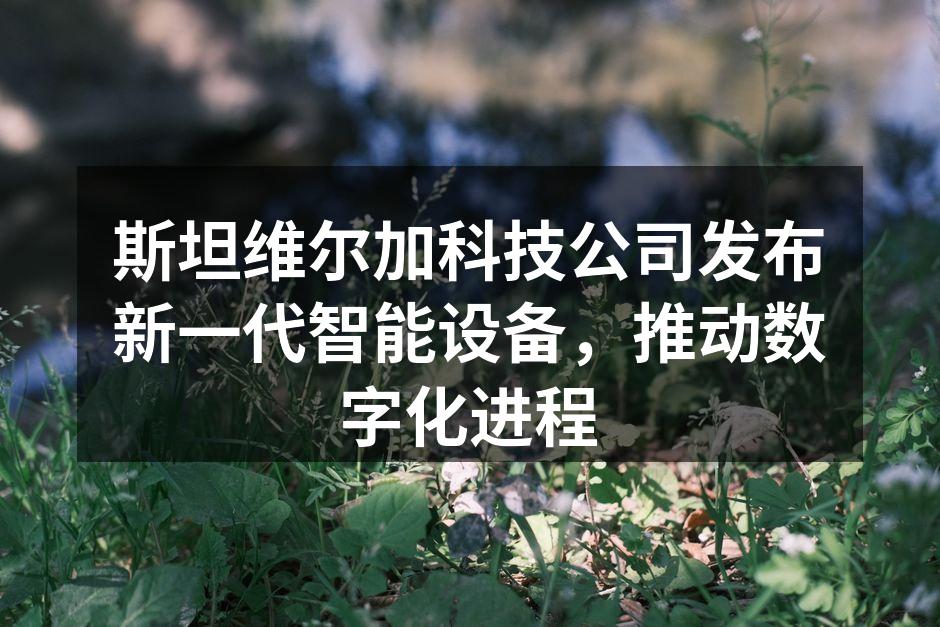 斯坦维尔加科技公司新产品发布会现场